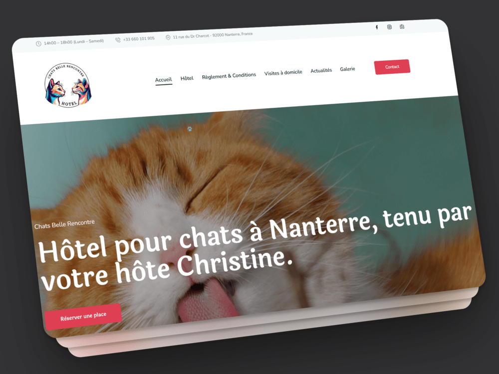 Portfolio - Chats Belle Rencontre