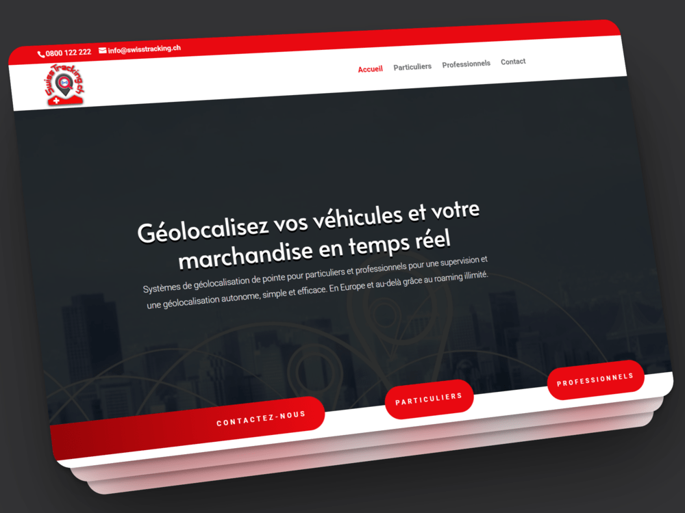 Portfolio - Swiss Tracking