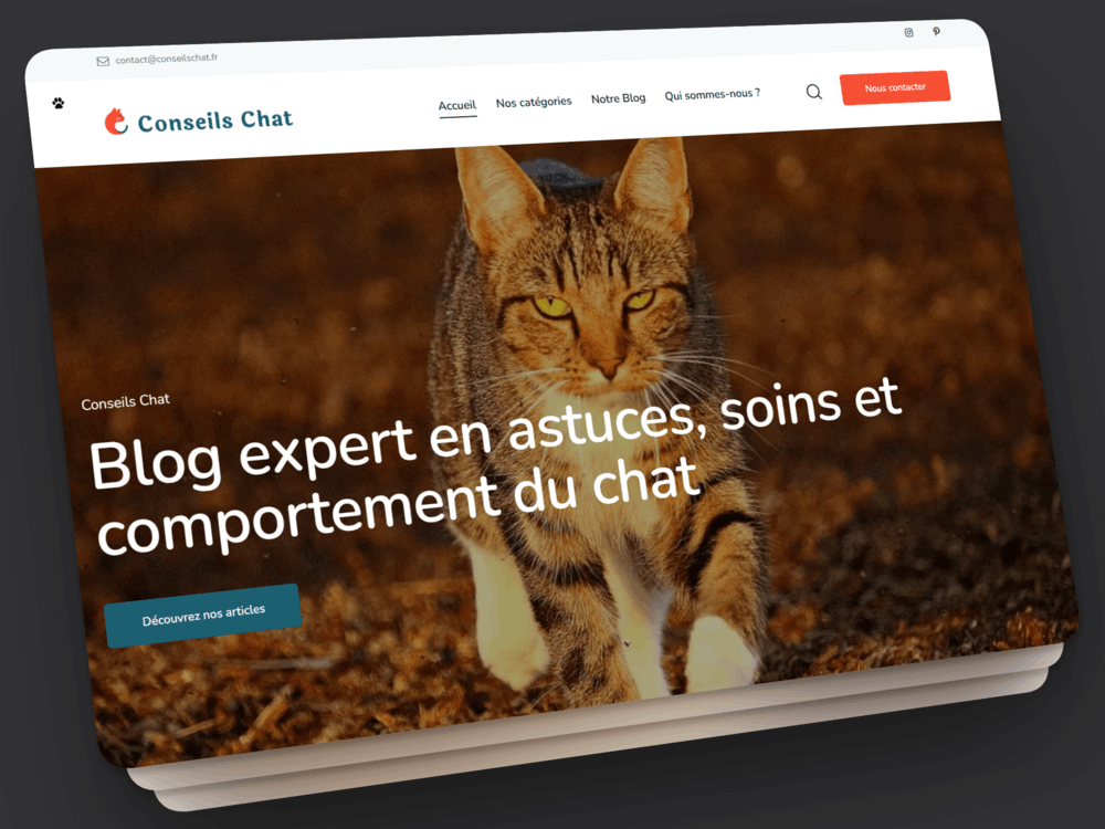 Conseils Chat